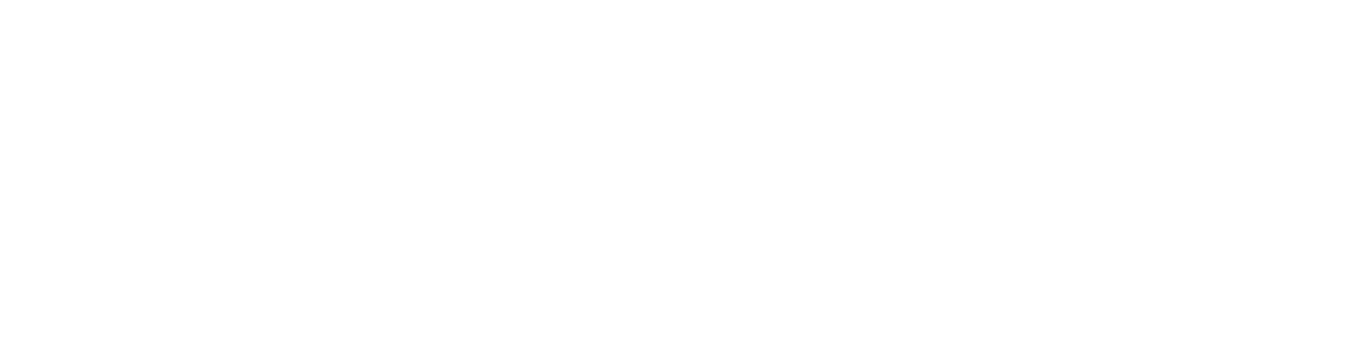 fenyvesinikoletta.hu, vállalkozás, hatékonyság, fejlődés, digitalizáció, siker, chief operating officer operatív vezető, vezető mentorálás, executive mentor, vezetőképzés